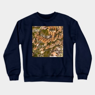 Bracket fungus Crewneck Sweatshirt